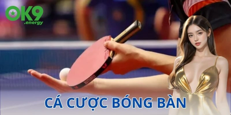 Cá cược bóng bàn là gì?