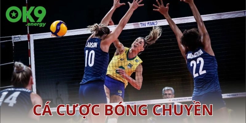 Cá cược bóng chuyền là gì và vì sao lại hấp dẫn?