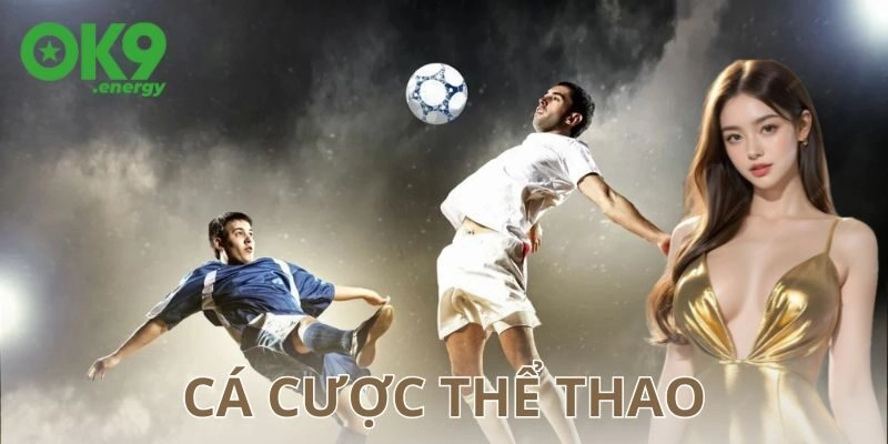 Cá cược thể thao là gì? Một góc nhìn thực tế