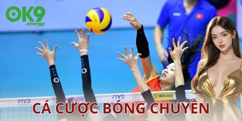Các loại kèo phổ biến trong cá cược bóng chuyền