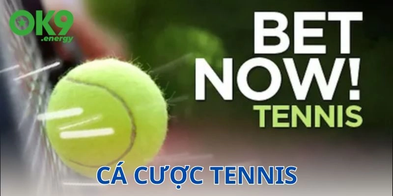 Tại sao nên chọn cá cược tennis thay vì các môn khác?