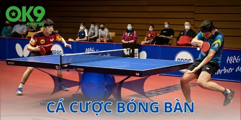 Ví dụ chi tiết cách chơi cá cược bóng bàn